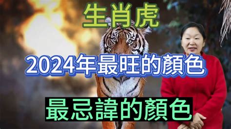 屬虎幸運色|【屬虎幸運色】2024年屬虎人專屬！掌握幸運色與禁忌色，招財。